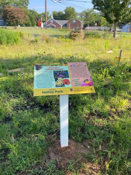 Pollinator Meadow information